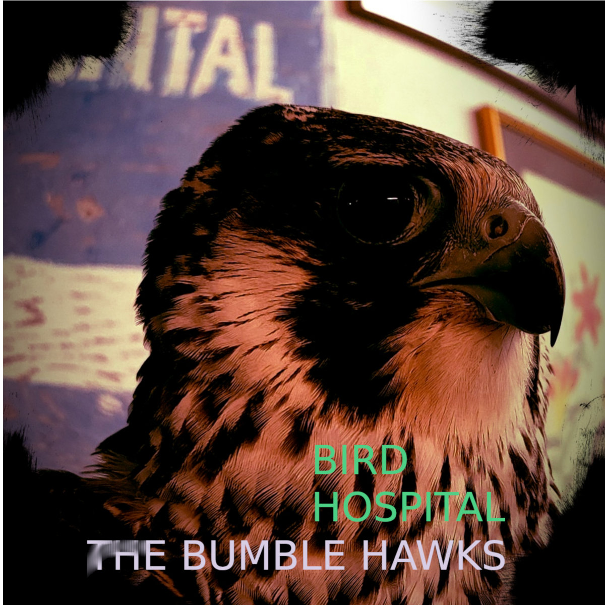 The Bumble Hawk Studio Sessions by Donnie Bugden